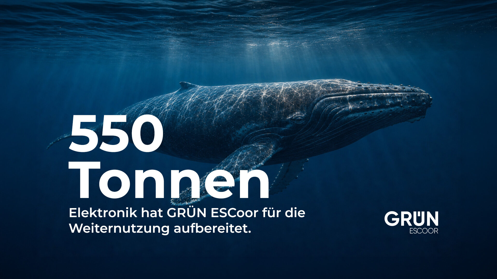 Infografik von GRÜN ESCoor: 550 Tonnen Elektronik aufbereitet, dargestellt im Vergleich zu etwa 20 ausgewachsenen Buckelwalen.