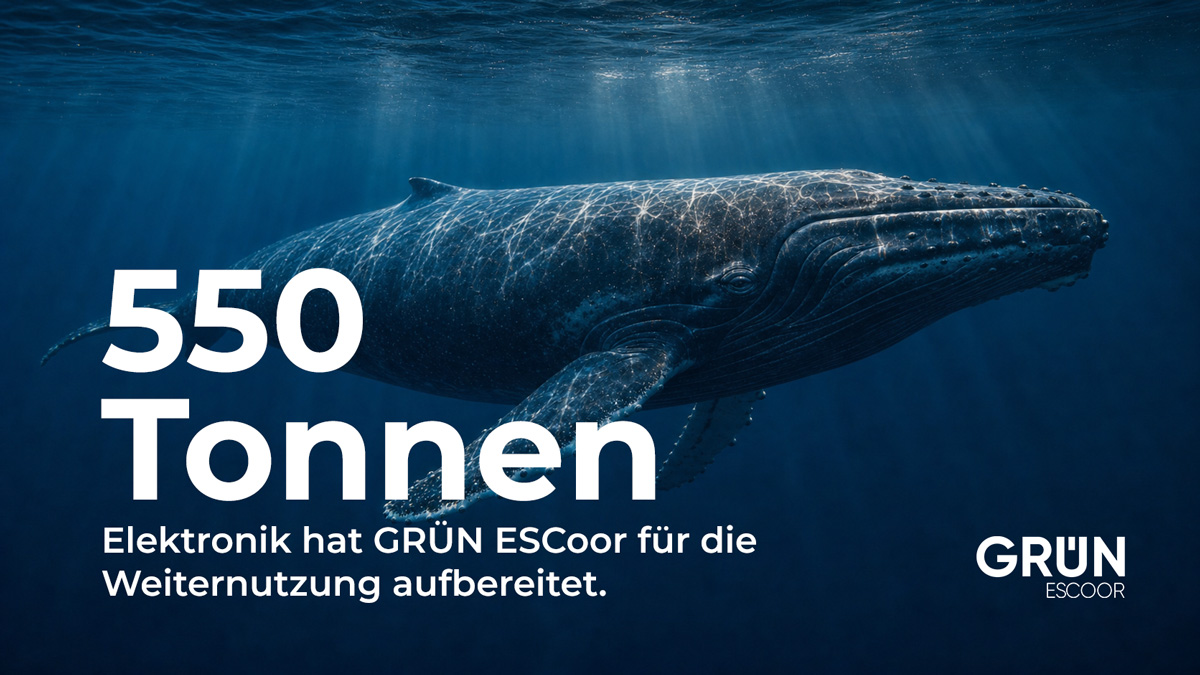 Infografik von GR&Uuml;N ESCoor: 550 Tonnen Elektronik aufbereitet, dargestellt im Vergleich zu etwa 20 ausgewachsenen Buckelwalen.